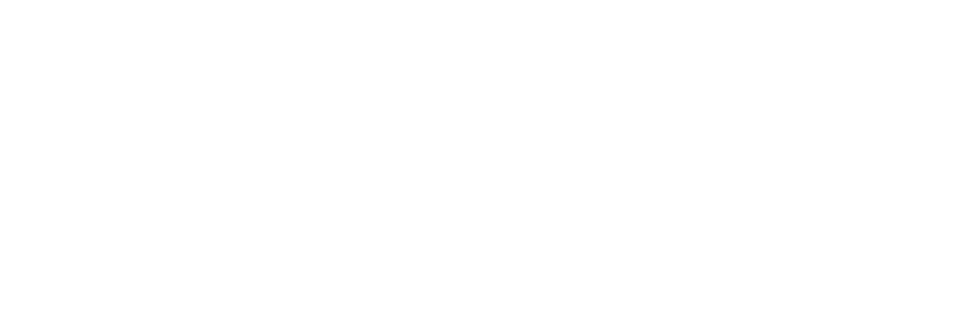 networx by iris white footer logo